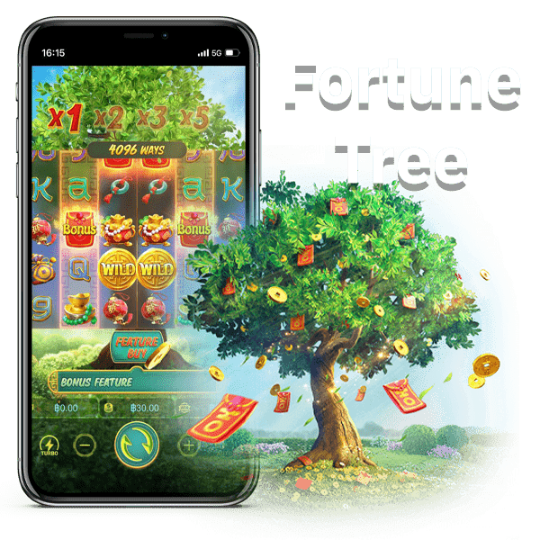 เกมต้นไม้ของพ่อ-Fortune-Tree
